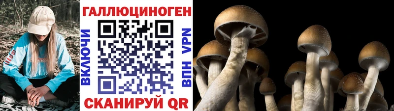 Галлюциногенные грибы Magic Shrooms  mega ссылки  Усинск  где продают наркотики 